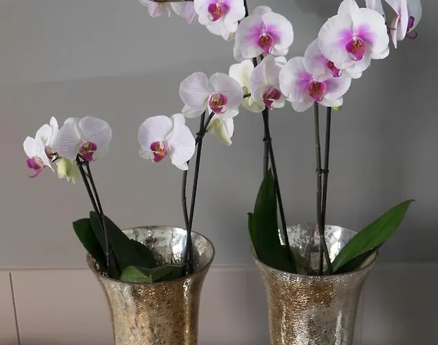 Art (adults Only) 3*